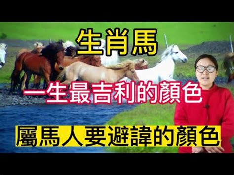 屬馬幸運色|【屬馬幸運色】提升點擊率！2024年屬馬幸運色大揭秘與招財技。